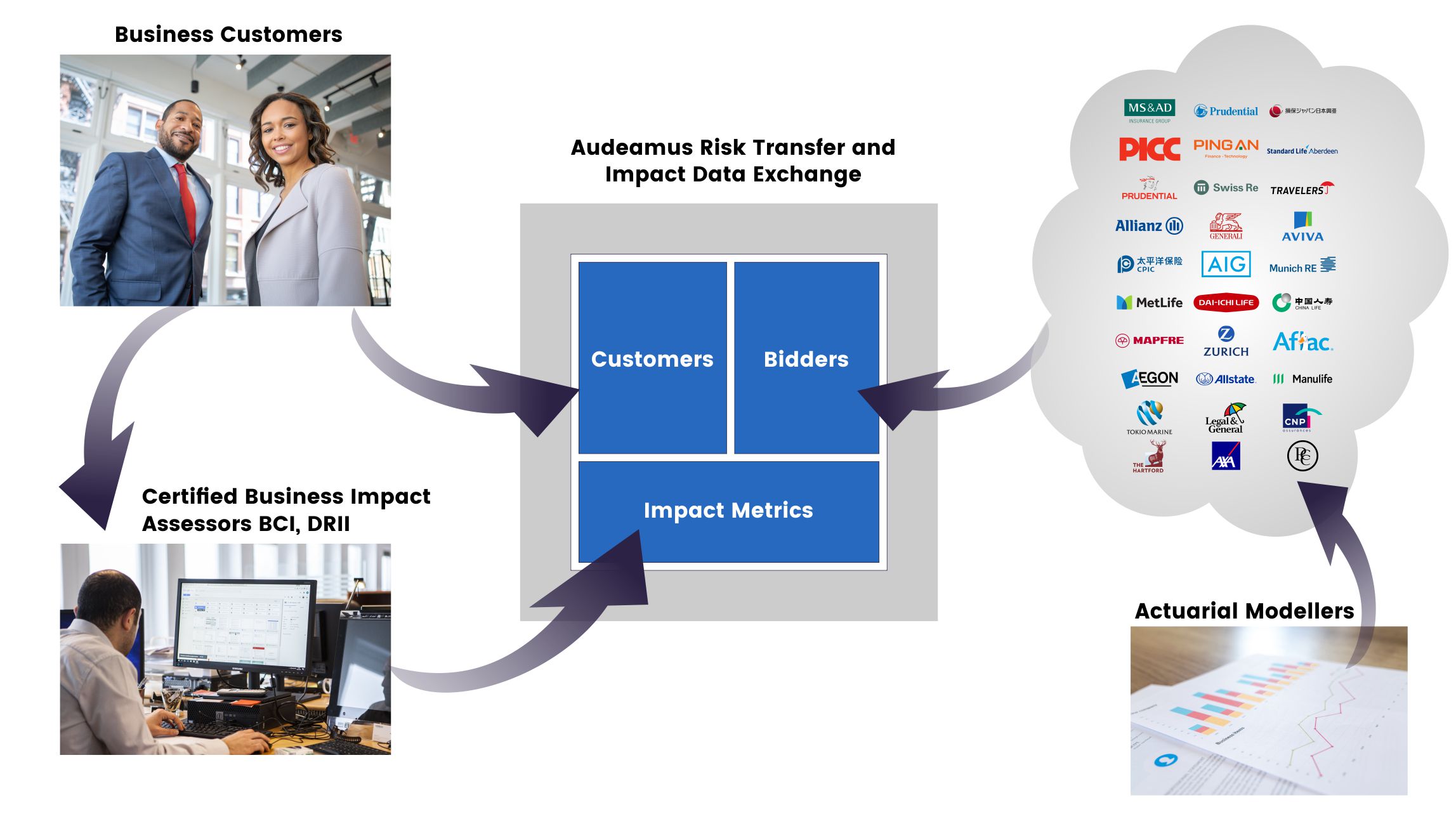 Audeamus Risk&reg;: How It Works?